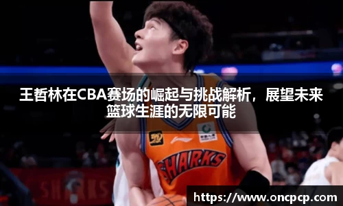 王哲林在CBA赛场的崛起与挑战解析，展望未来篮球生涯的无限可能